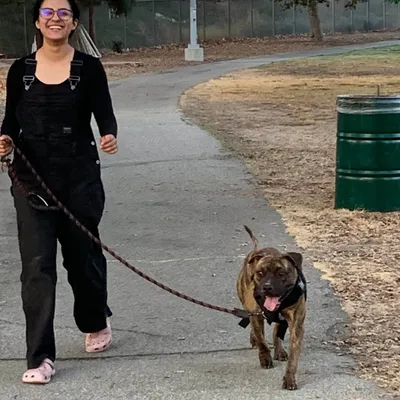 Marisol laughing while walking her brindle dog on a park path.
