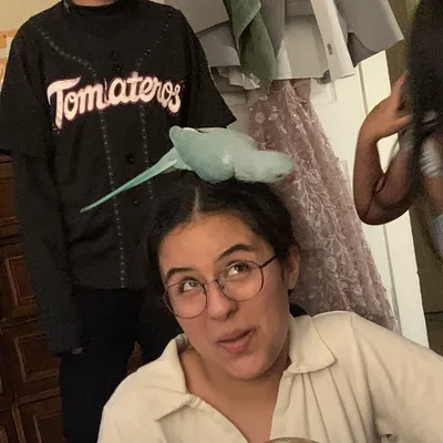 Marisol looking up at a parakeet perched on her head at a family gathering.